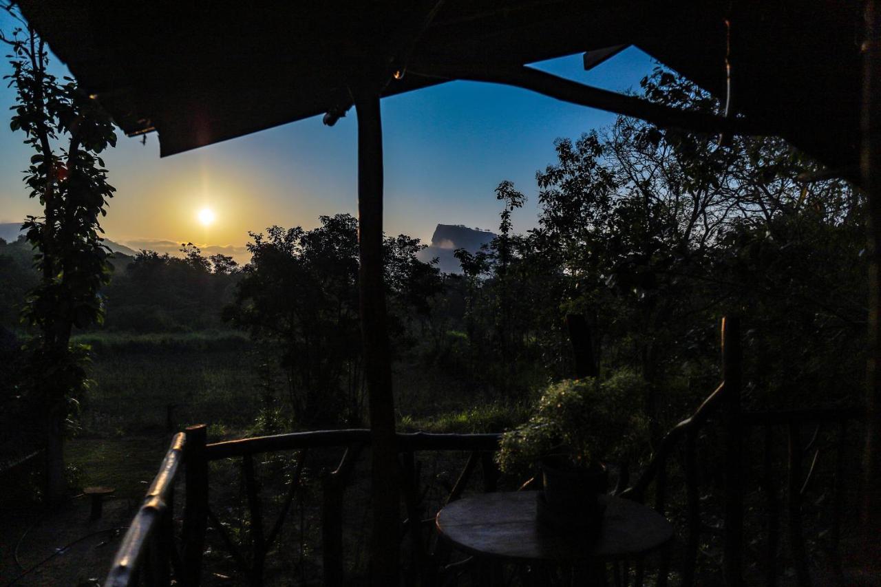 Hotel Sigiriya Rock Gate Tree House Exterior foto