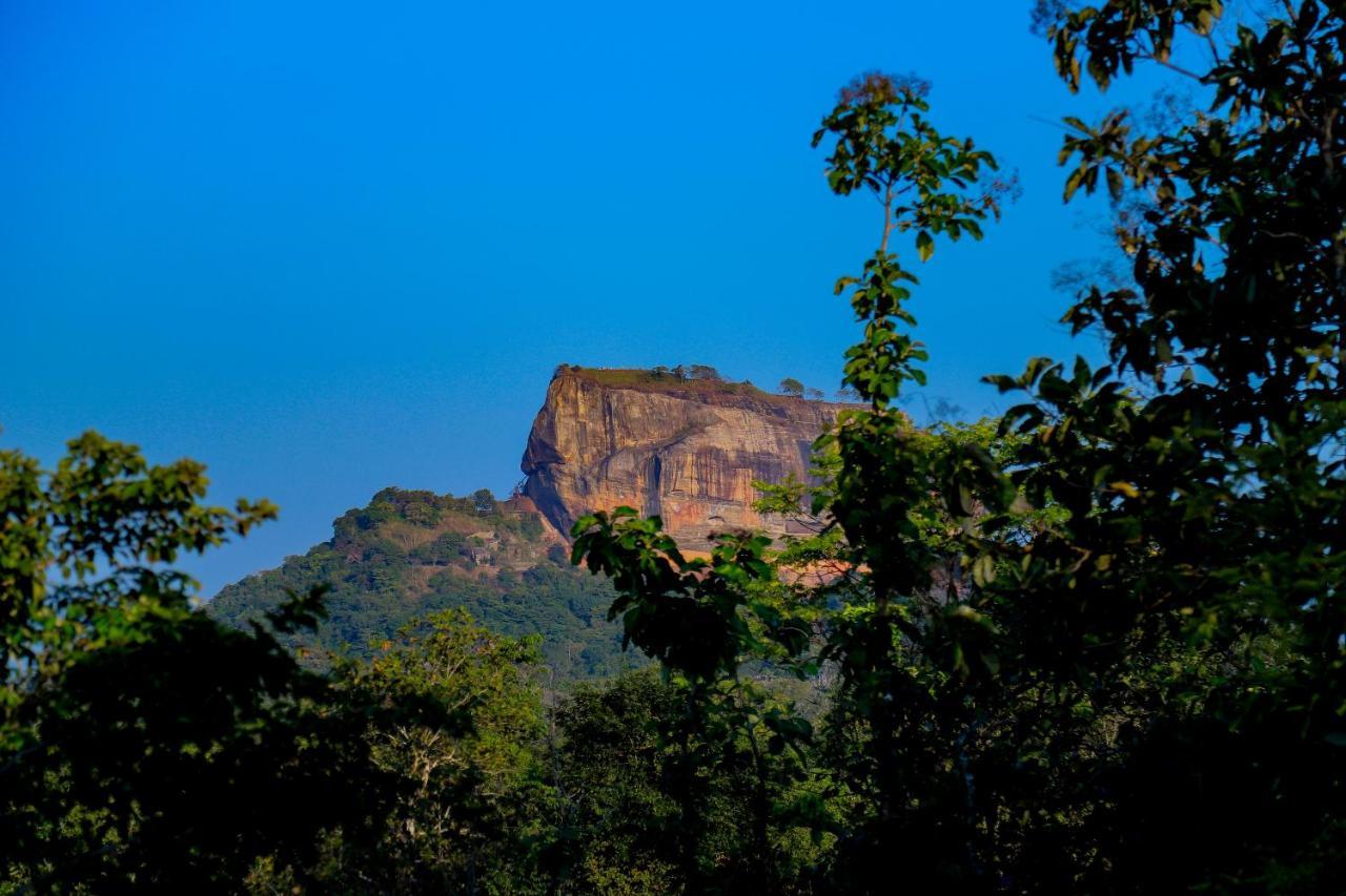 Hotel Sigiriya Rock Gate Tree House Exterior foto