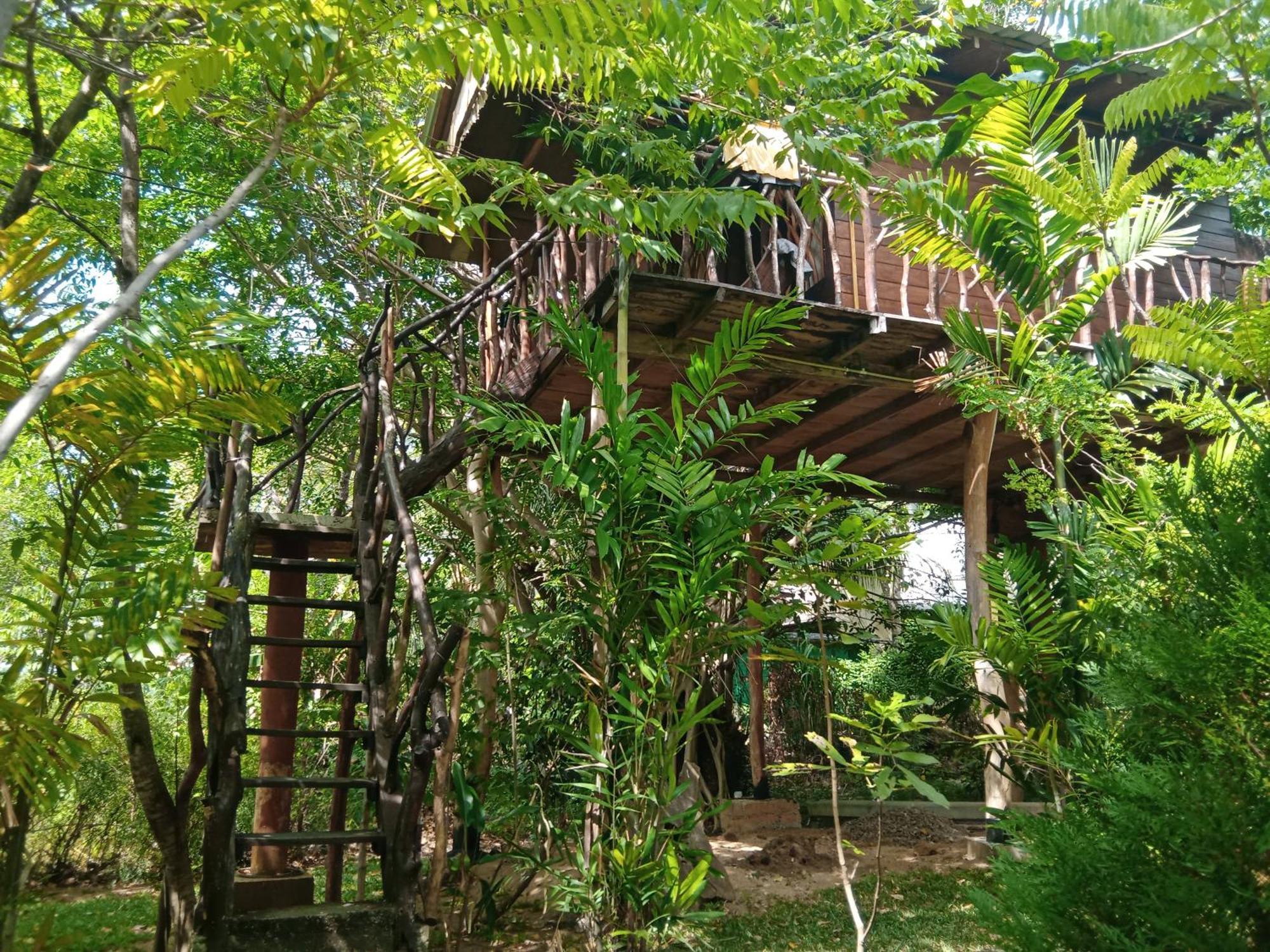 Hotel Sigiriya Rock Gate Tree House Exterior foto
