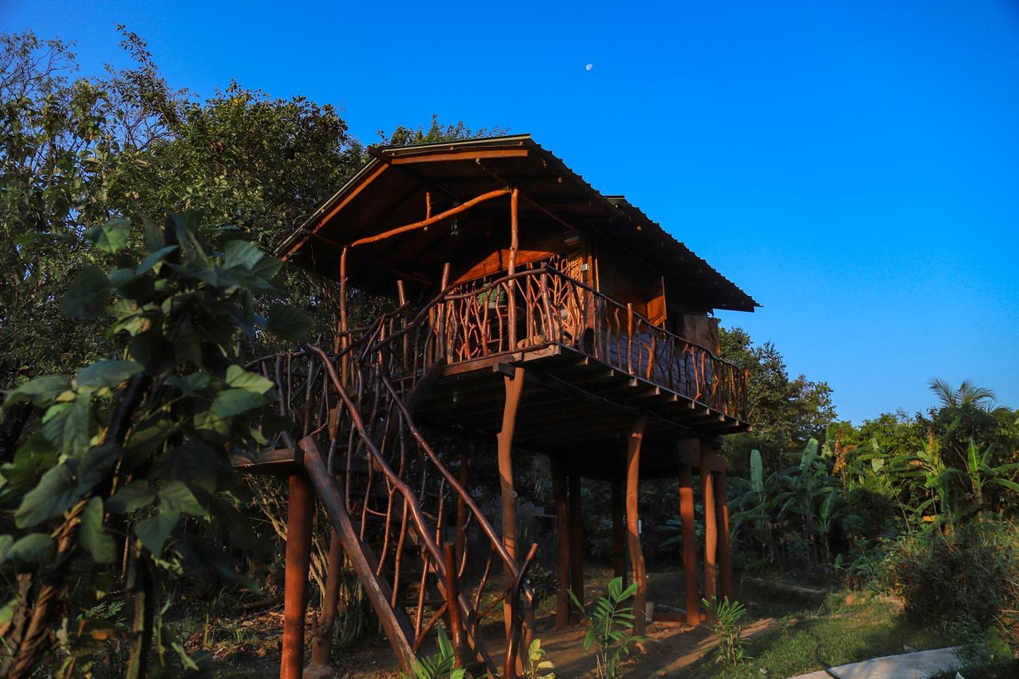 Hotel Sigiriya Rock Gate Tree House Exterior foto