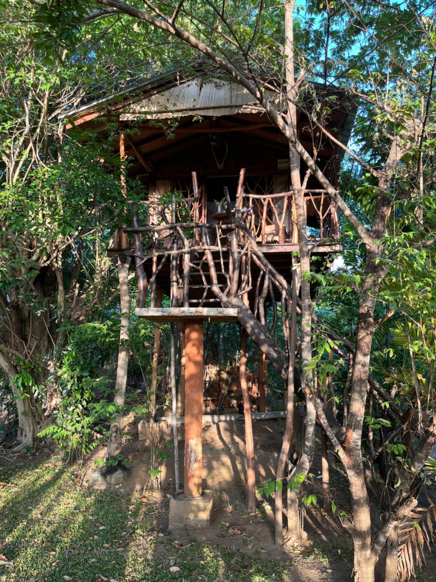 Hotel Sigiriya Rock Gate Tree House Habitación foto