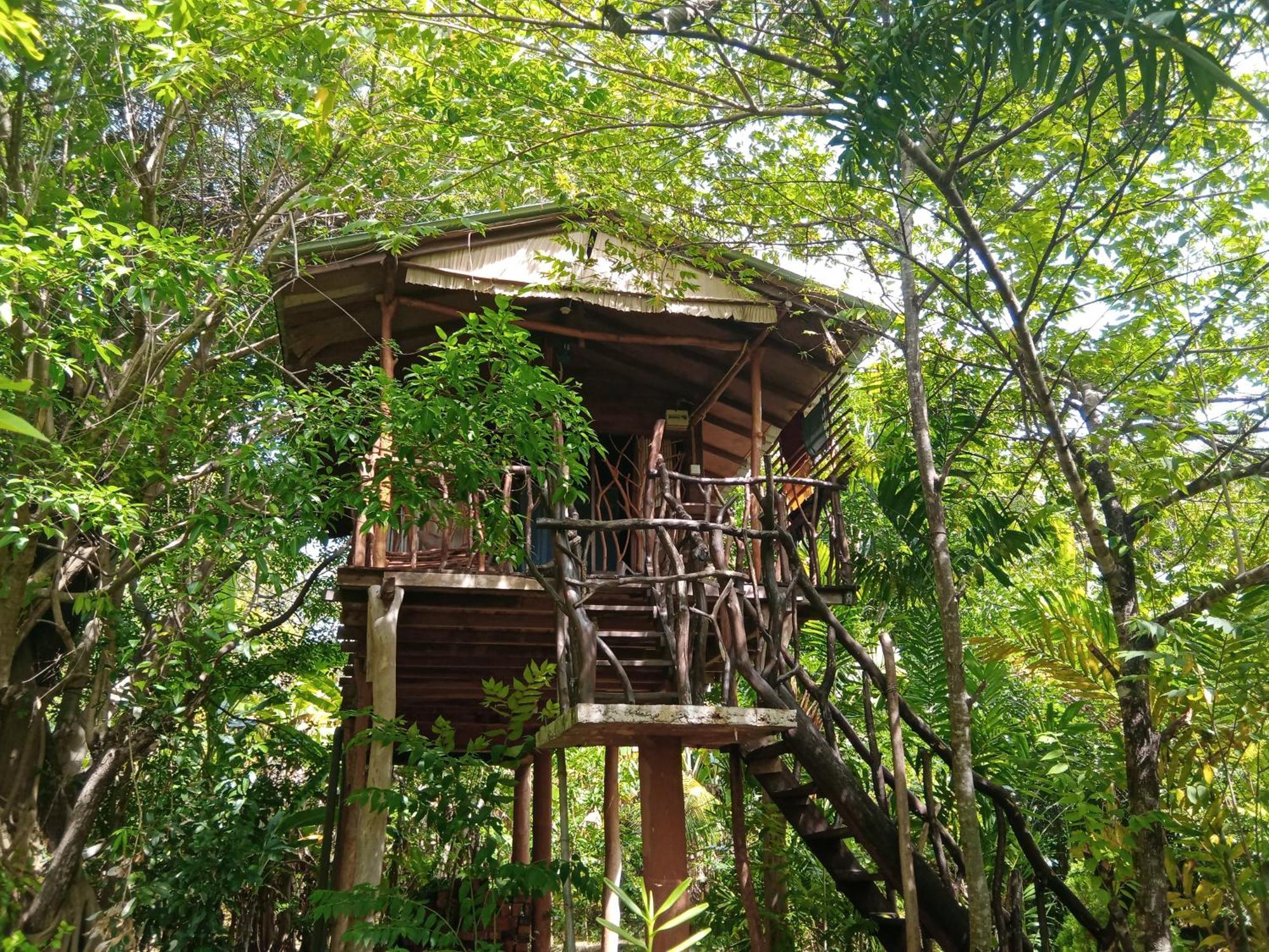 Hotel Sigiriya Rock Gate Tree House Habitación foto